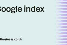 Google Indexing